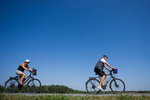 Turisti razgledavaju Kopački rit na biciklima 29.08.2018., Kopacki rit - Veliki broj turista koji dolaze na odmor u Baranju voze se biciklima po Kopackom ritu. Photo: Davor Javorovic/PIXSELL 