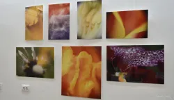 Snaga, ranjivost i čudo života u najči&scaron;ćem obliku