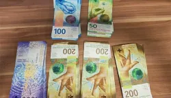 Carinicima u Slavoniji žena nije prijavila veliku količinu &scaron;vicarskih franaka, &scaron;vicarski franci, ilustracija, carina