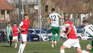 Pero&scaron;ević je izvukao Čepin sa samog dna