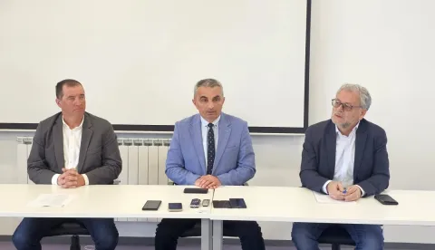 zlatne žice slavonije