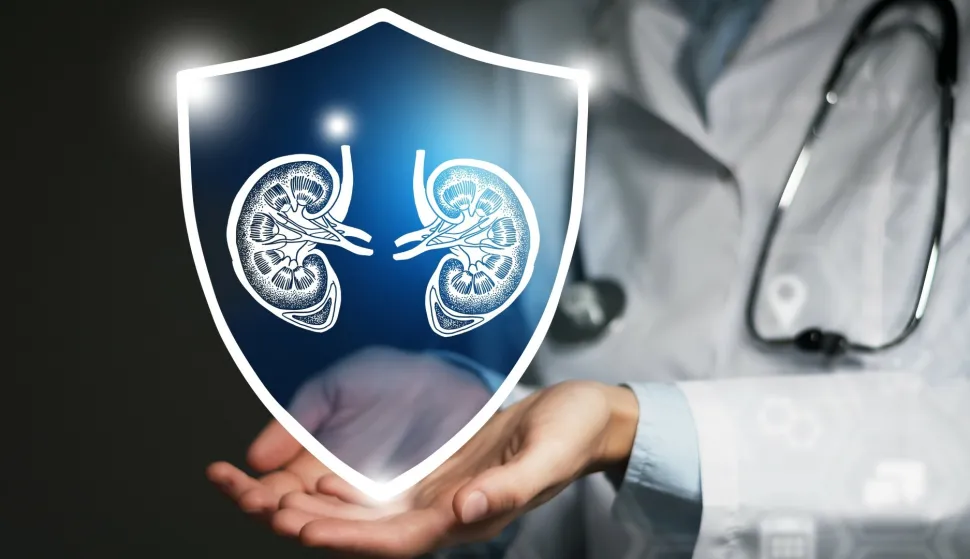 Kronična bubrežna bolest - ilustracija