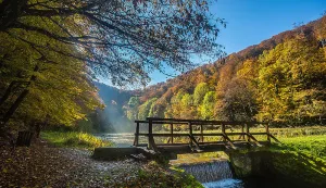 PARK PRIRODE PAPUK - JANKOVAC