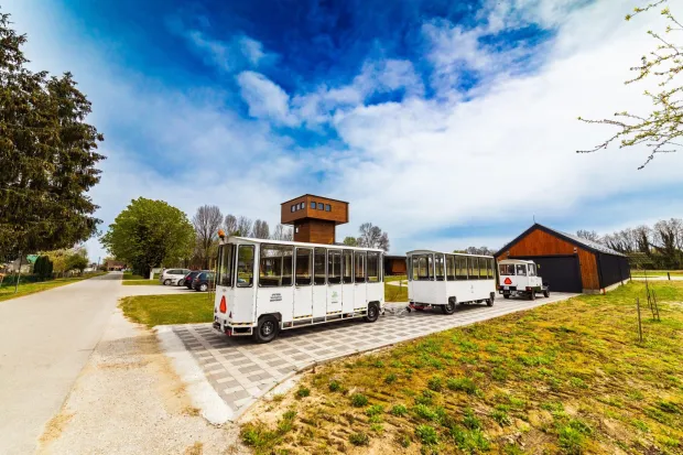 Križnica - ljekoviti mir uz &ldquo;zelenu&rdquo; kraljicu