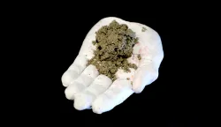 Osijek, 06. 02. 2025., Hotel Osijek, Clim Empower, konferencija, zelena tranzicija, zemlja na dlanu - ilustracija, poljoprivreda ilustracijaSNIMIO BRUNO JOBST