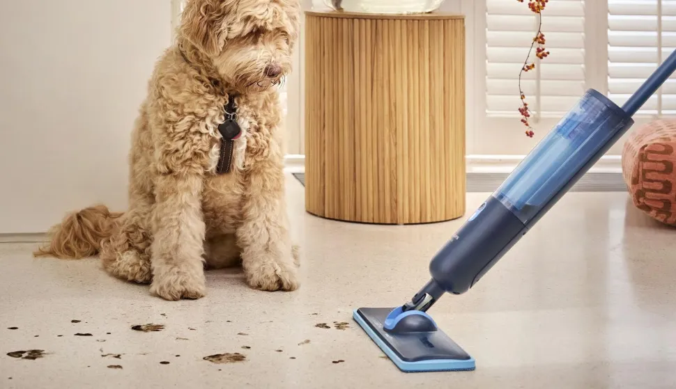         pHILIPS MOP