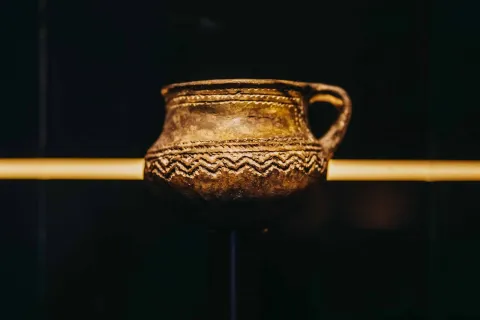 VUKOVAR - MUZEJ VUČEDOLSKE KULTUREOŽUJAK 2026.