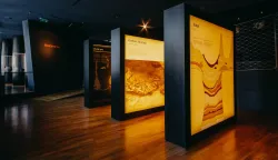 VUKOVAR - MUZEJ VUČEDOLSKE KULTUREOŽUJAK 2026.