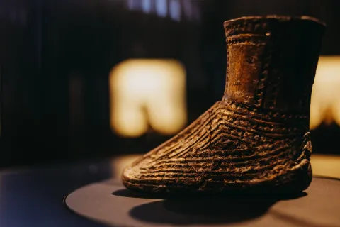 VUKOVAR - MUZEJ VUČEDOLSKE KULTUREOŽUJAK 2026.