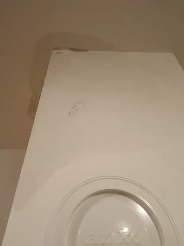 VUKOVAROgorčeni zbog nemogućnosti da rije&scaron;e problem koji im godinama zagorčava život, obratili su nam se stanari stambene zgrade u Tijardovićevoj 7 u Vukovaru. Požalili su se kako gotovo od prvog dana otkako su se prije osam godina uselili u stanove u toj zgradi s ravnim krovom proki&scaron;njava kad god padne jača ki&scaron;a i se otapa snijeg.JELENA MI&Scaron;KIĆ, OŽUJAK 2026.