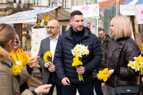 Osijek, 21. 3. 2026., Dan narcisa dan narcisa; narcisi; zdravlje; rak dojke; prevencija; svijest