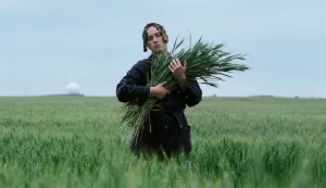 Živa cover