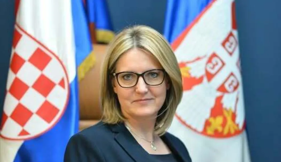 Zastupnica u Hrvatskom saboru Jasna Vojnić