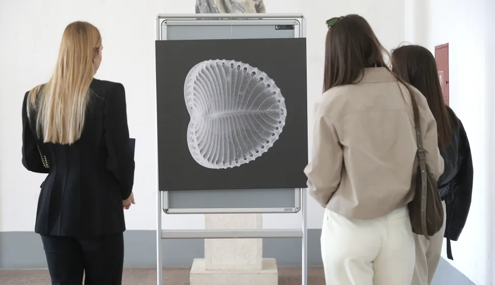 Osijek, 24. 03. 2026., Rektorat, izložba, Tajanstveni život u kapljici mora, otvorenje, predavanje, izložba Instituta za oceanografiju i ribarstvo, fitoplanktoni, fitoplanktonSNIMIO BRUNO JOBST