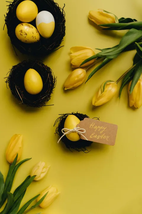 tulipani Uskrs