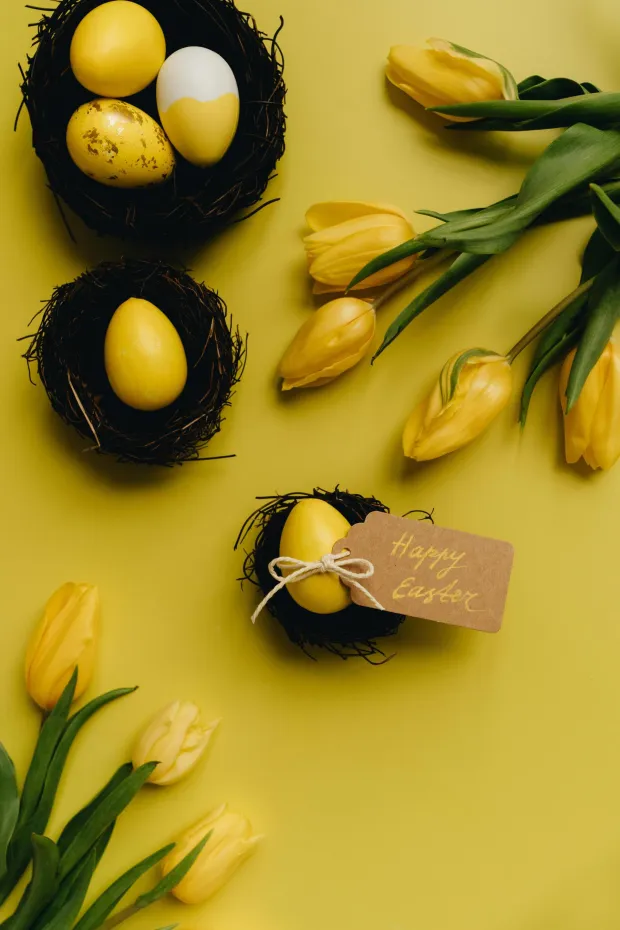 tulipani Uskrs