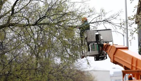 Zagreb, 27.3.2026.- Posljedice nevremena koje je u ?etvrtak pogodilo Zagreb. Na slici uklanjanje sru?enih stabala. foto HINA/ Damir SEN?AR/ ua