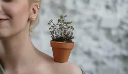 sadnja biljaka, začini