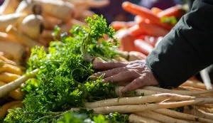 Osijek, 28. 2. 2026., Tržnica Osijek, stanje, ponuda, atmosfera, pričetržnica; ponuda; voće; povrće; cvijeće; kupci; kupovina; namirnice; nabavka; hrana; prodavači; ilustracija; per&scaron;in; mrkva