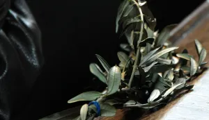 slavonija...vinkovci...24.03.2013.cvjetnica; misa u crkvi sv. euzebija i poliona; misu vodio mnsr. tadija pranjic foto gordan panic