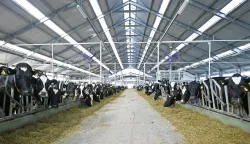 Petogodi&scaron;nji plan Podravke Agri je ulaganje 200 milijuna eura u projekte u ratarstvu i stočarstvu