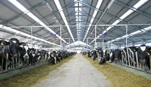 Petogodi&scaron;nji plan Podravke Agri je ulaganje 200 milijuna eura u projekte u ratarstvu i stočarstvu