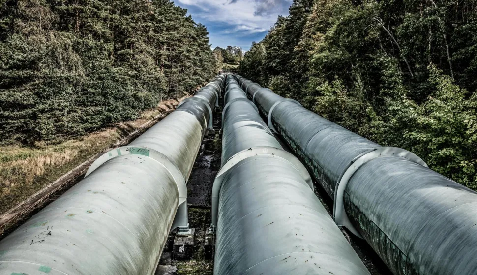 MAGAZIN PEXELSPHOTO BY Wolfgang Weiser