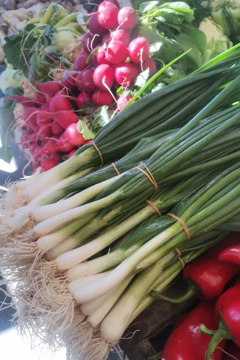 Osijek, 28. 03. 2024, Glavna trznica na Gajevom trgu. Uskrsnja ponuda na trznici, luk, rotkvice, salata, ukrasi, cvijece, meso, sir, orasasti plodovi, sunka, riba....snimio GOJKO MITIĆ