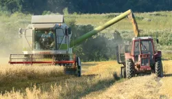 05.07.2016., Oprisavci - Na slavonskim poljima u tijeku je zetva psenice. Photo: Ivica Galovic/ PIXSELL------2 stupca colornovosti