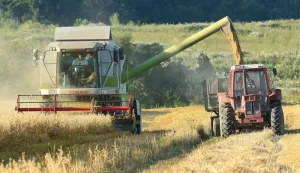 05.07.2016., Oprisavci - Na slavonskim poljima u tijeku je zetva psenice. Photo: Ivica Galovic/ PIXSELL------2 stupca colornovosti