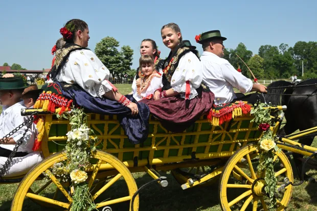 Babina Greda, 8.6.2025.- Predsjednik Republike Zoran Milanovi? sudjelovao je na otvorenju 44. manifestacije "Konji bijelci" odr?anom na hipodromu "Riti?" u Babinoj Gredi. foto HINA/Gordan Pani?/ gp
