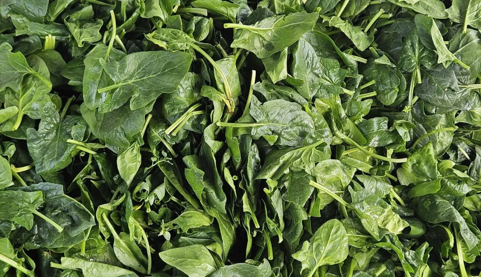 Zeleni četvrtak na glavnoj tržniciilustracija