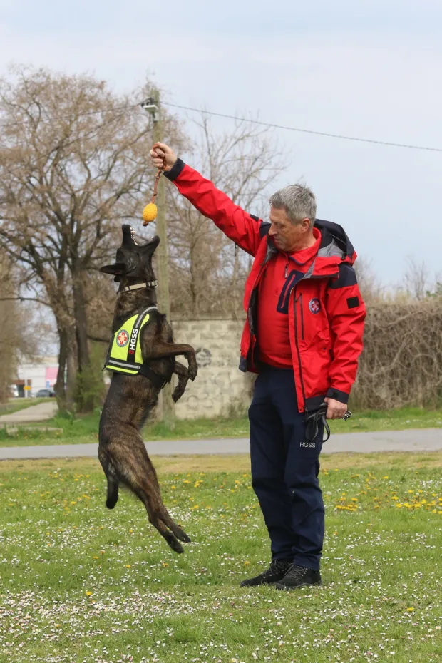Osijek 26. 03. 2026, Hrvoje Domazetović, član HGSS-a Osijek i njegova mlada nizozemska ovčarka Luna, potražni pas.snimio GOJKO MITIĆ