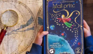 Mali princ, &Scaron;kolska knjiga