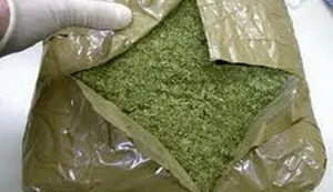 Uzgajali marihuanu u Vukovarsko-srijemskoj županiji, marihuana, droga, zapljena, policija, ilustracija