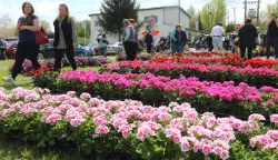 Sajam cvijeća i seoskog turizma u Dalj-Planini