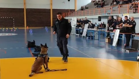 Policijski psi - nos im je istreniran do maksimuma