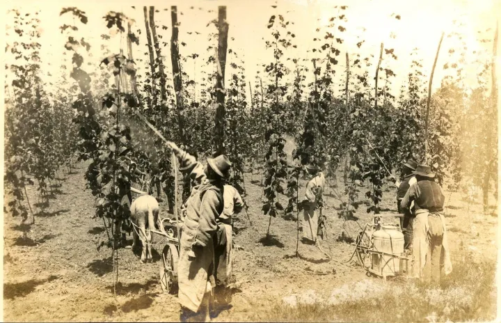 Vrata otvorila pivovara i pivnica Pivara: U Karancu se nakon stotinu godina opet proizvodi pivo