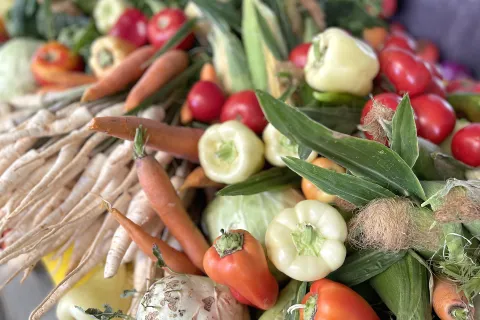 Osijek, 15. 07. 2022, Glavna trznica, dodjela certifikata, Proizvodi hrvatskog seljaka, Jasenka Crnkovic - zamjenica gradonacelnika, Ivana Davidovic - direktorica Trznica Osijek, Silva Wendling - procelnica Upravnog odjela za poljoprivredu i ruralni razvojSNIMIO BRUNO JOBST