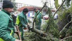 Zagreb, 27.03.2026 - Djelatnici zrinjevca uklanjaju drveće koje je palo uslijed jakog vjetra u naselju Voltino.foto HINA/ Admir BULJUBA&Scaron;IĆ/ abu