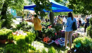 Osijek, 11. 05. 2024, Fetsial cvijeca, otvorenje kod Skoljke.snimio GOJKO MITIĆ