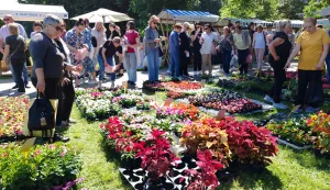 Osijek, 11. 05. 2024, Fetsial cvijeca, otvorenje kod Skoljke.snimio GOJKO MITIĆ