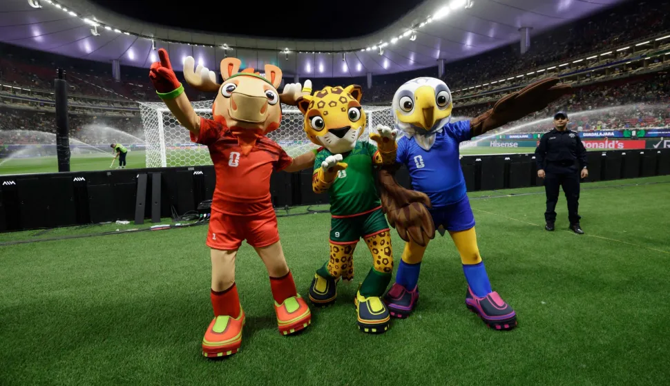 Karta koja inače stoji 8,75 dolara, tijekom SP-a bit će čak - 80