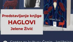 Roman Haglovi Jelene Živić bit će, u povodu&nbsp;Noći knjige, predstavljen u Narodnoj knjižnici Centra za kulturu Čepin 24. travnja s početkom u 18,30 sati.&nbsp;&nbsp;