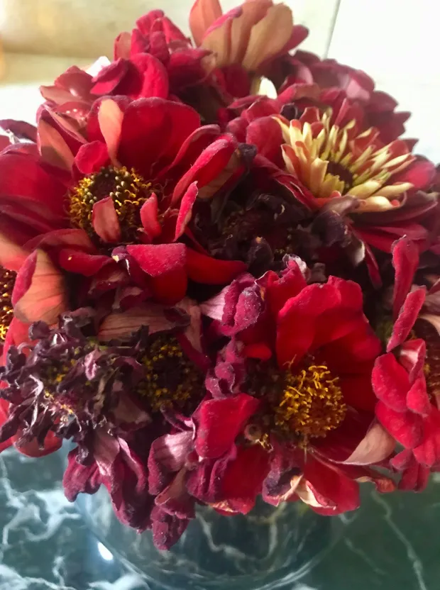 Dirty Rotten Flowers