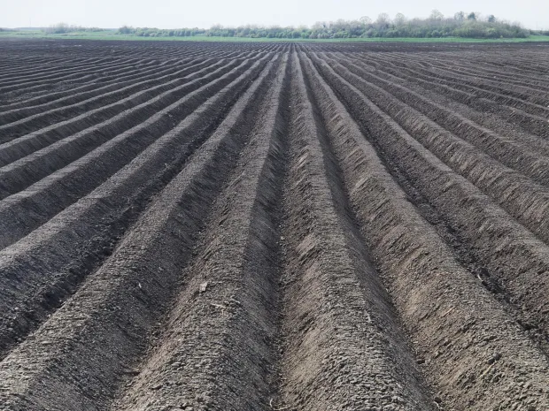 U tijeku je proljetna sjetva na oranicama Podravke Agri, koja se odvija u optimalnim uvjetima zahvaljujući dovoljnim količinama vlage i povoljnim vremenskim prilikama, izvijestili su u petak iz te poljoprivredne kompanije, a među ostalim su naveli i da planiraju veću proizvodnju krumpira nego lani zbog potreba domaćeg trži&scaron;ta. 