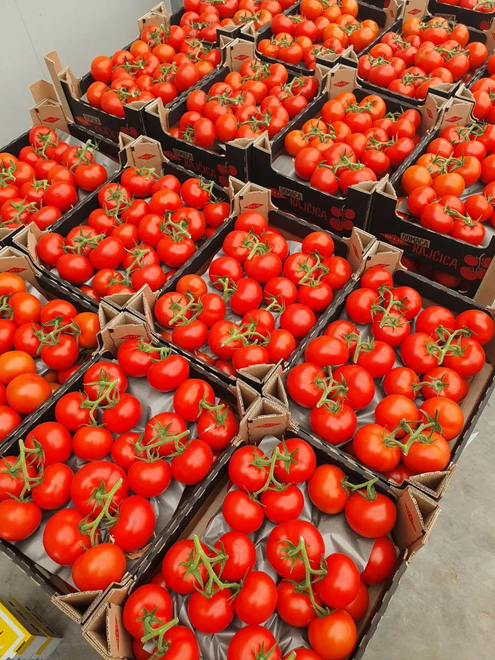 Podravka Agri - rajčica