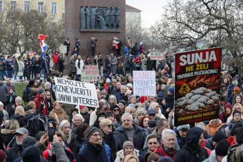 21.02.2026., Zagreb - U organizaciji Zelene akcije i Prijatelja zivotinja, uz gradjanske inicijative "Siscani ne zele biti Smetliscani" i "Sunjani ne zele biti smuljani" odrzan je prosvjed protiv unistenja Sisacko-moslavacke zupanije, povodom planirane izgradnje industrijskih megakompleksa farmi i klaonica peradi u Sisacko-moslavackoj zupaniji. Photo: Marko Seper/PIXSELL