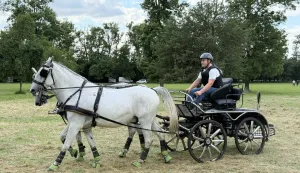 Vinkovačka konjička revija