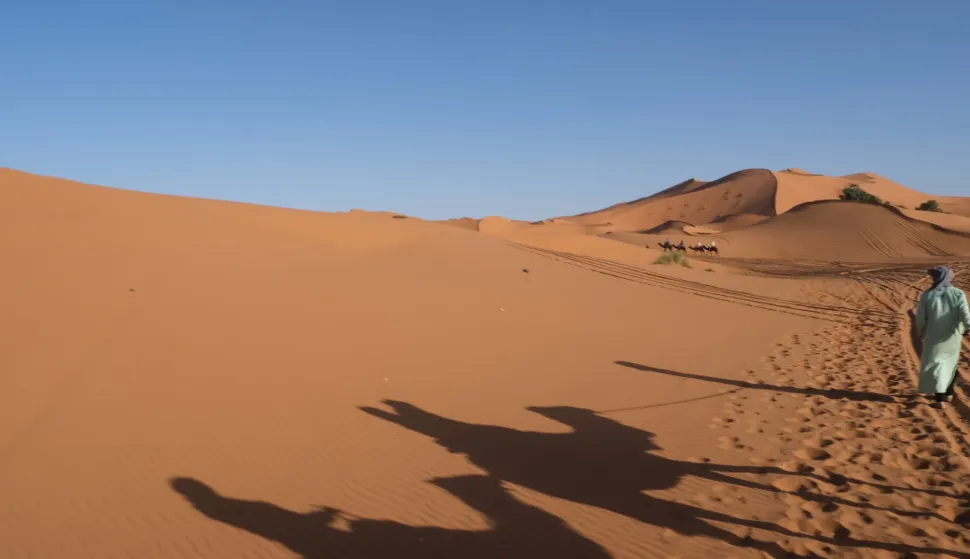 MAGAZIN MAROKO DARIO MAJETIC